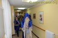 IMG_1961 Picture 17
